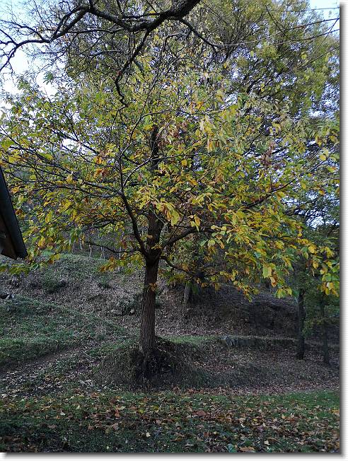 Clicca per scorrere le foto originali ingrandite