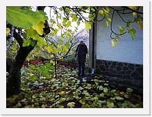 IMG_20191117_155812 * 3648 x 2736 * (2.33MB)