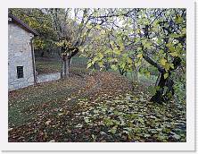 IMG_20191117_155853 * 3648 x 2736 * (3.02MB)