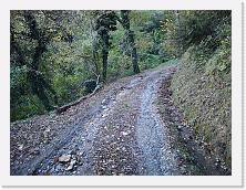 IMG_20191117_162035 * 3648 x 2736 * (2.79MB)