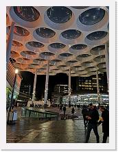 IMG_20191113_183516 * 2736 x 3648 * (1.12MB)