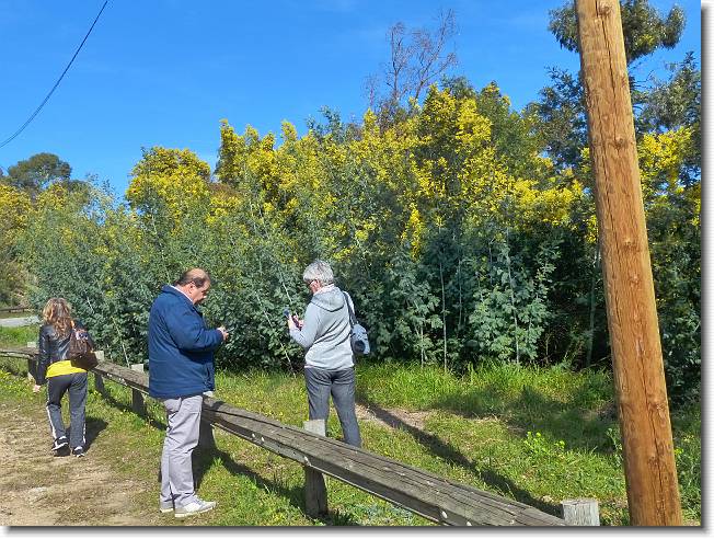Clicca per scorrere le foto originali ingrandite