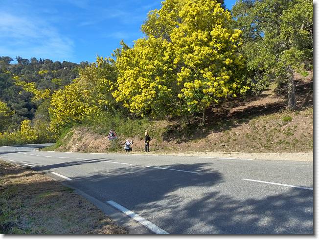 Clicca per scorrere le foto originali ingrandite