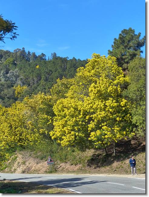 Clicca per scorrere le foto originali ingrandite