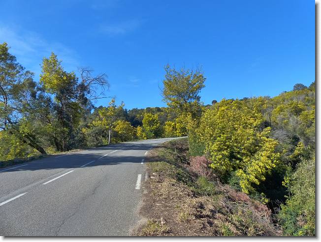 Clicca per scorrere le foto originali ingrandite
