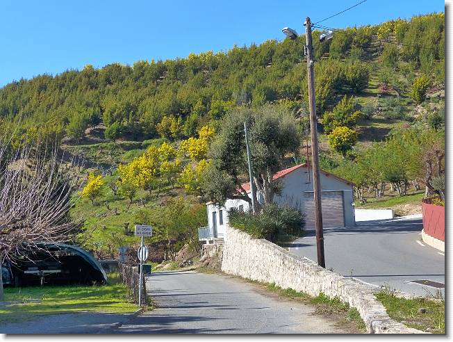 Clicca per scorrere le foto originali ingrandite