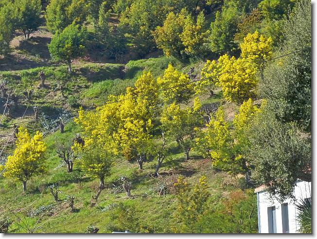 Clicca per scorrere le foto originali ingrandite
