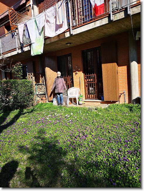 Clicca per scorrere le foto originali ingrandite