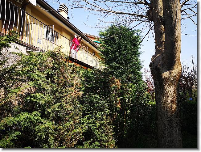 Clicca per scorrere le foto originali ingrandite