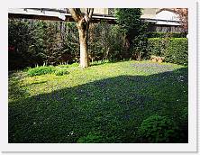 IMG_20200313_123529 * 3648 x 2736 * (3.17MB)