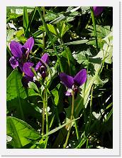 IMG_20200315_150822 * 2736 x 3648 * (2.23MB)