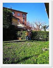 IMG_20200315_150932 * 2736 x 3648 * (2.73MB)