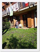 IMG_20200315_152128 * 2736 x 3648 * (2.62MB)