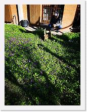IMG_20200315_153155 * 2736 x 3648 * (2.76MB)