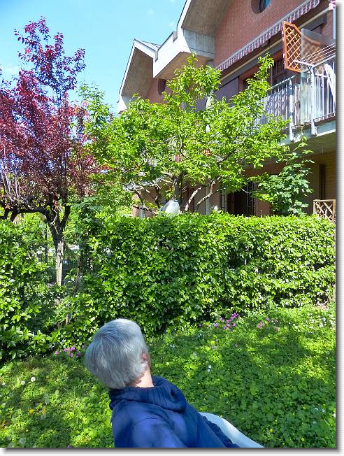 Clicca per scorrere le foto originali ingrandite
