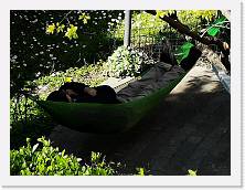 IMG_20200405_160608 * 3648 x 2736 * (1.14MB)