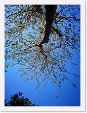 IMG_20200412_170637 * 2736 x 3648 * (2.75MB)