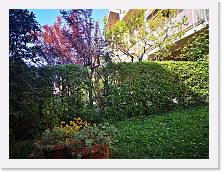 IMG_20200412_170653 * 3648 x 2736 * (2.64MB)