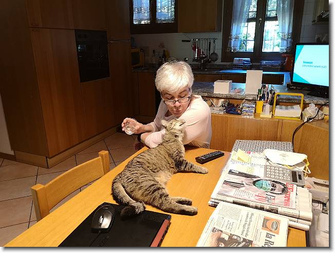 Clicca per scorrere le foto originali ingrandite
