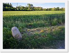 IMG_20200503_183101 * 3648 x 2736 * (2.71MB)