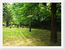 IMG_20200510_162552 * 3648 x 2736 * (2.76MB)