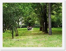 IMG_20200510_162611 * 3648 x 2736 * (2.62MB)