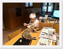 IMG_20200525_131616 * 3648 x 2736 * (1.33MB)