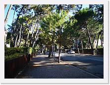 IMG_20200717_180145 * 3648 x 2736 * (2.71MB)