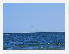 IMG_20200720_122813 * 3648 x 2736 * (260KB)