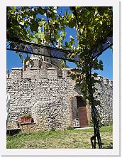 1473-Umbria * 2736 x 3648 * (2.78MB)