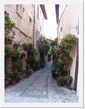 330-Umbria * 4000 x 3000 * (5.27MB)