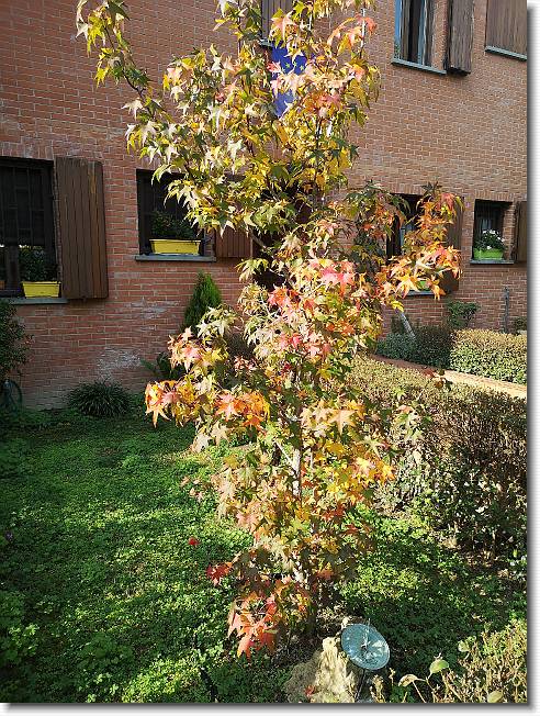 Clicca per scorrere le foto originali ingrandite