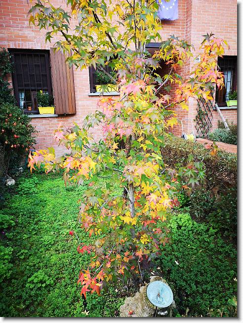 Clicca per scorrere le foto originali ingrandite