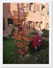 IMG_20201107_110902 * 2736 x 3648 * (2.33MB)