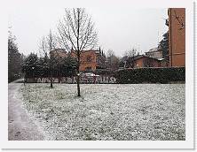 IMG_20210110_110331 * 3648 x 2736 * (2.68MB)