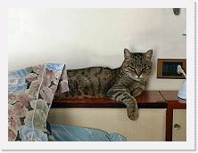 IMG_20201231_094232 * 3648 x 2736 * (851KB)