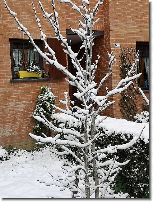 Clicca per scorrere le foto originali ingrandite