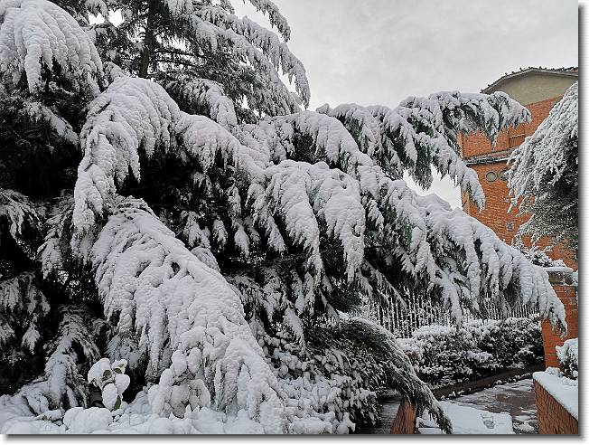 Clicca per scorrere le foto originali ingrandite