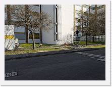 IMG_20210319_102313 * 3648 x 2736 * (2.5MB)