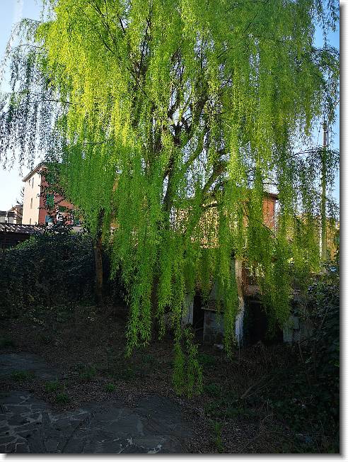 Clicca per scorrere le foto originali ingrandite