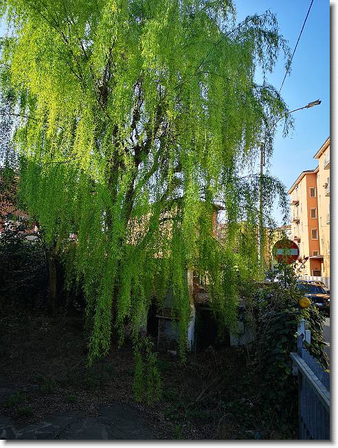 Clicca per scorrere le foto originali ingrandite
