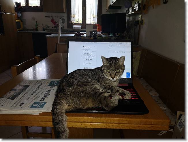 Clicca per scorrere le foto originali ingrandite