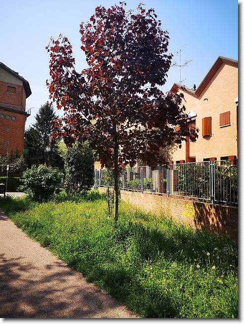Clicca per scorrere le foto originali ingrandite