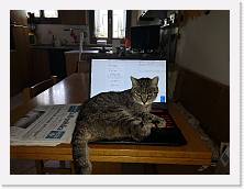 IMG_20210409_131729 * 3648 x 2736 * (574KB)