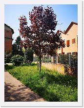 IMG_20210425_114007 * 2736 x 3648 * (2.83MB)