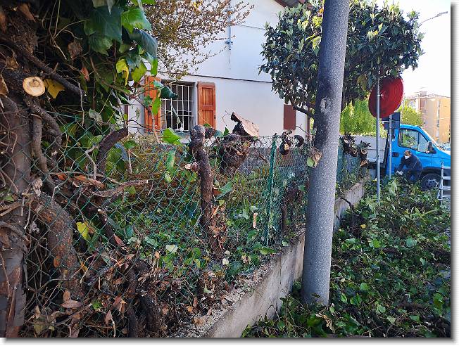 Clicca per scorrere le foto originali ingrandite
