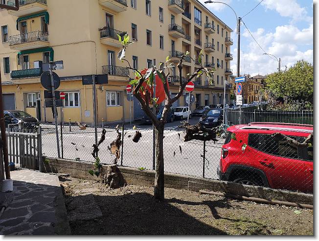 Clicca per scorrere le foto originali ingrandite