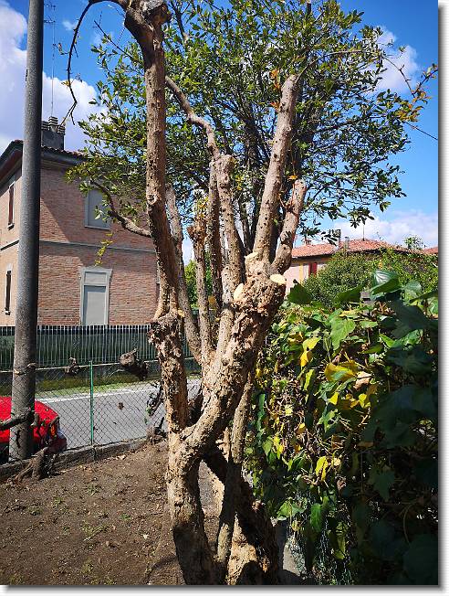 Clicca per scorrere le foto originali ingrandite