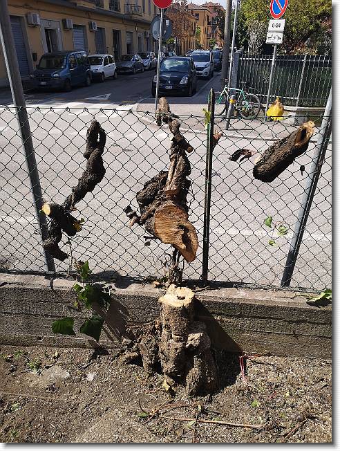 Clicca per scorrere le foto originali ingrandite