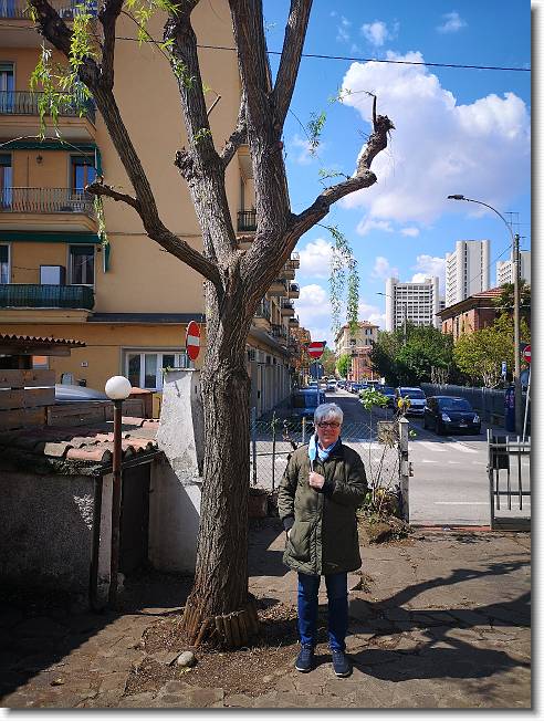 Clicca per scorrere le foto originali ingrandite